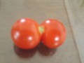 쌍둥이 방울 토마토